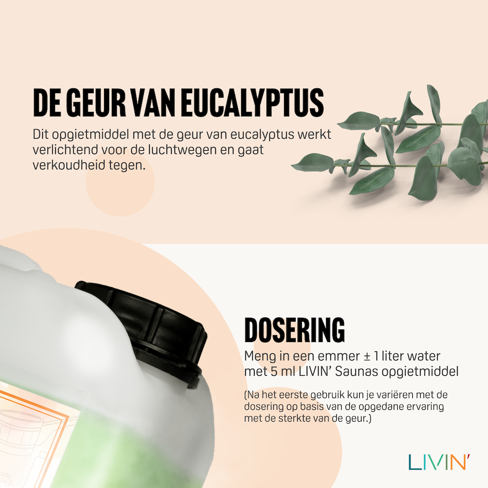 Sauna Molding Eucalyptus - 5L